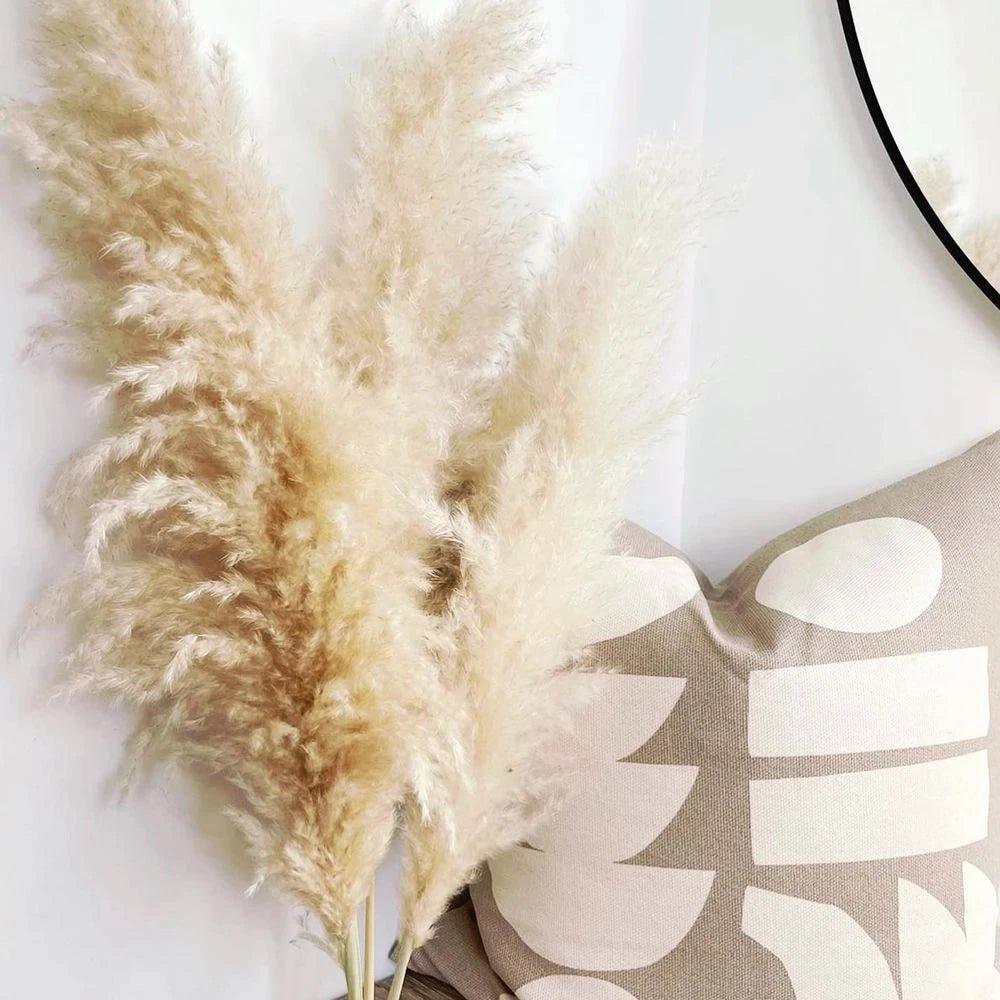 Natural Dried Pampas Grass Decor Bundle with Feathers