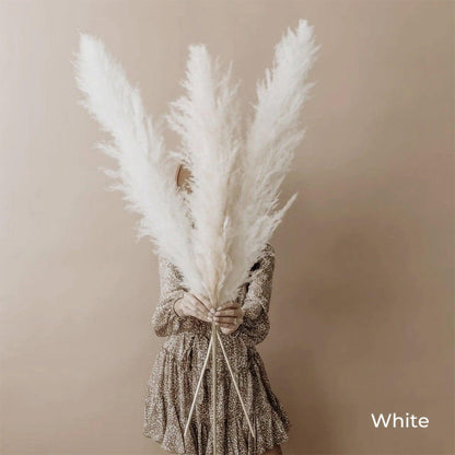 Natural Dried Pampas Grass Decor Bundle with Feathers