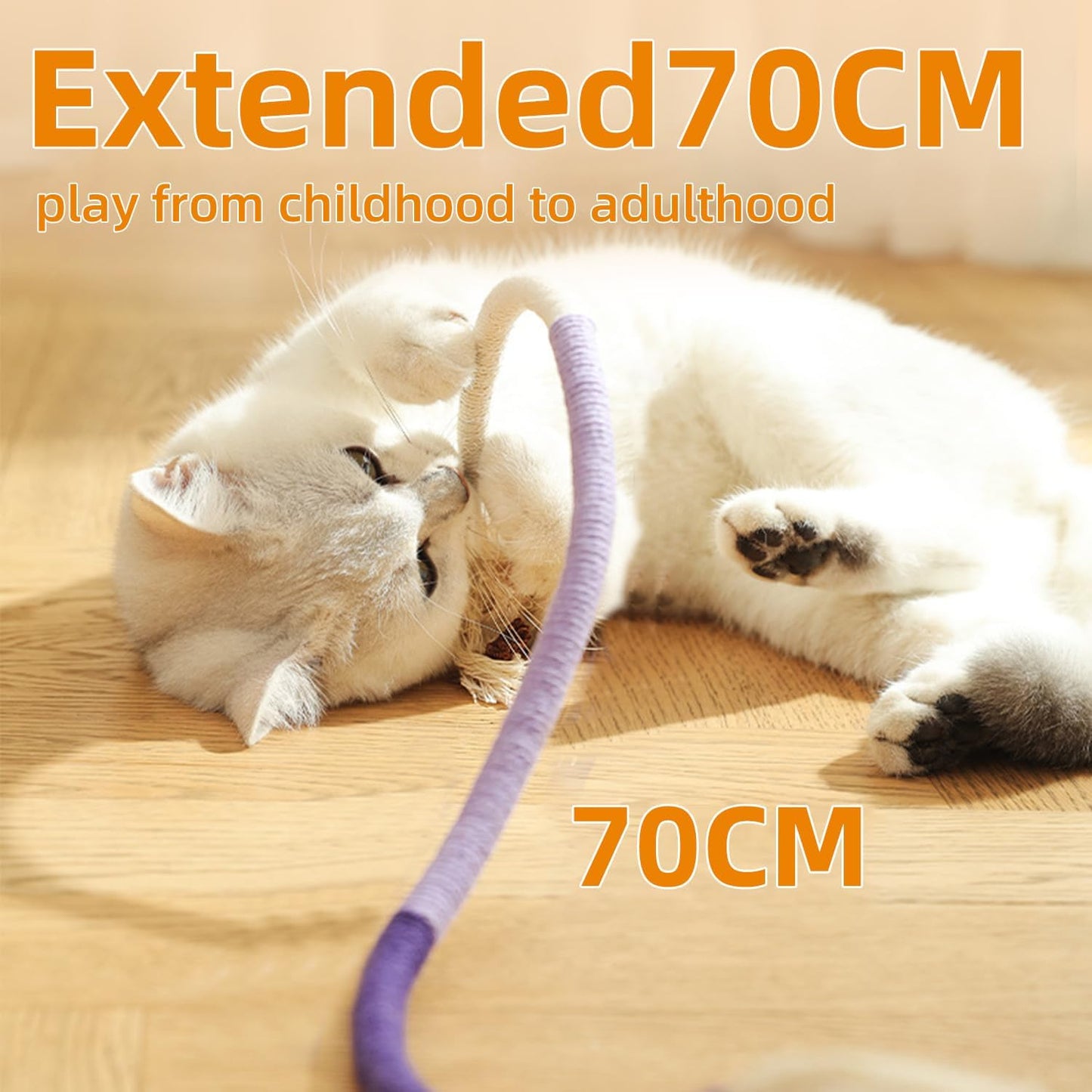 Fun Interactive Cat Toy