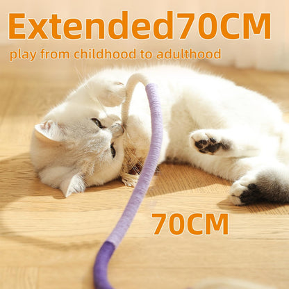 Fun Interactive Cat Toy