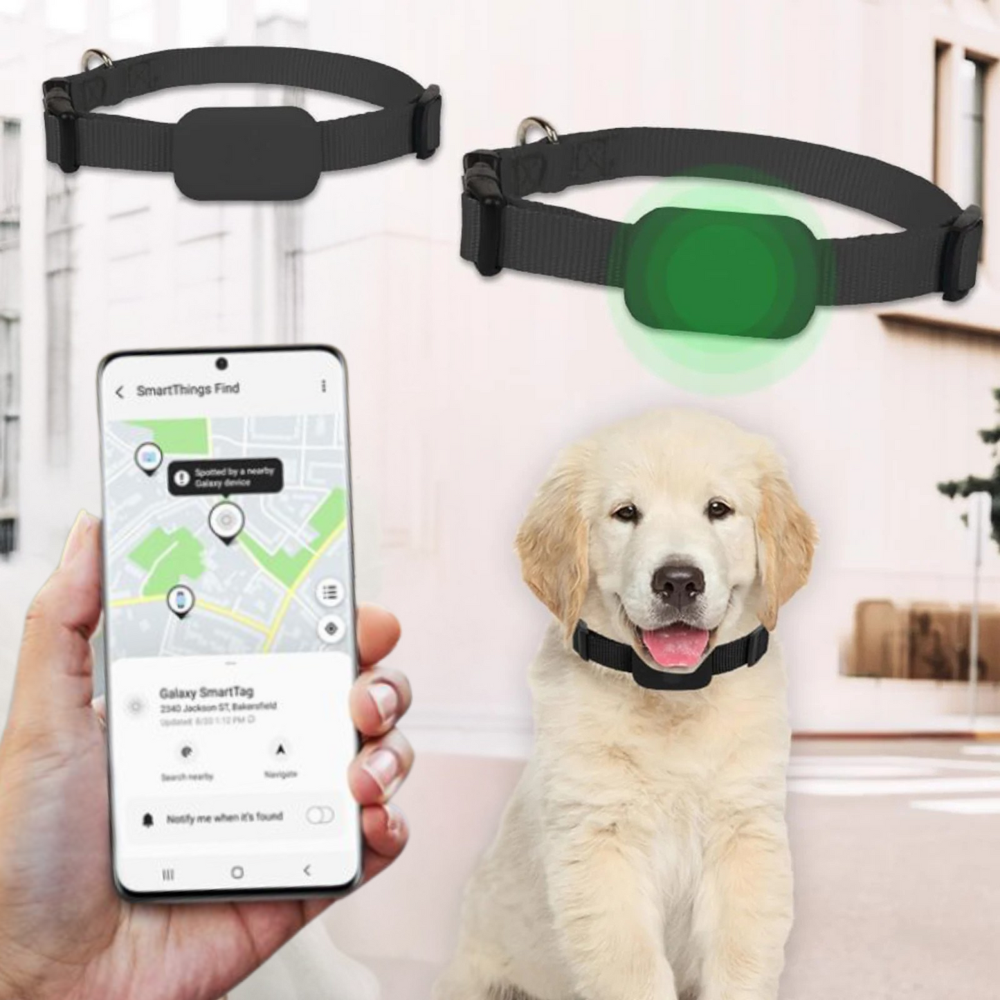 Pet GPS Tracker - Bluetooth Collar Locator