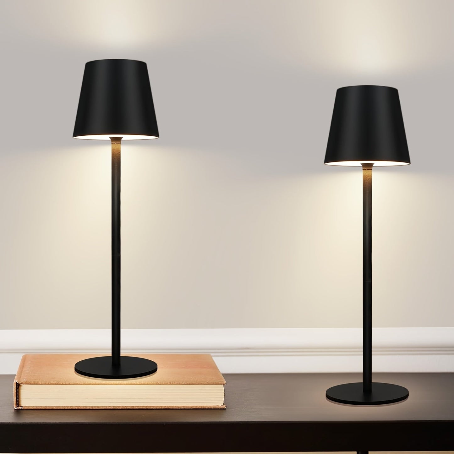 Compact Battery Powered Desk Light Lamp - Fesara