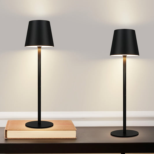Compact Battery Powered Desk Light Lamp - Fesara
