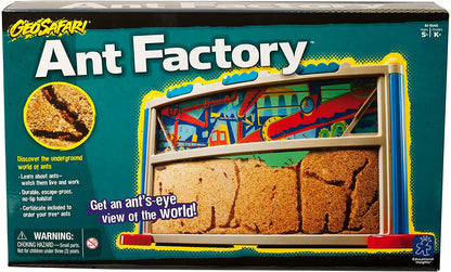 Fun STEM Ant Habitat Learning Kit