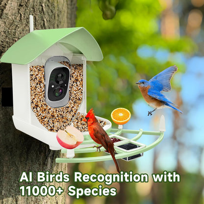 Intelligent Bird Feeder Cam with Night Vision & Motion Detection