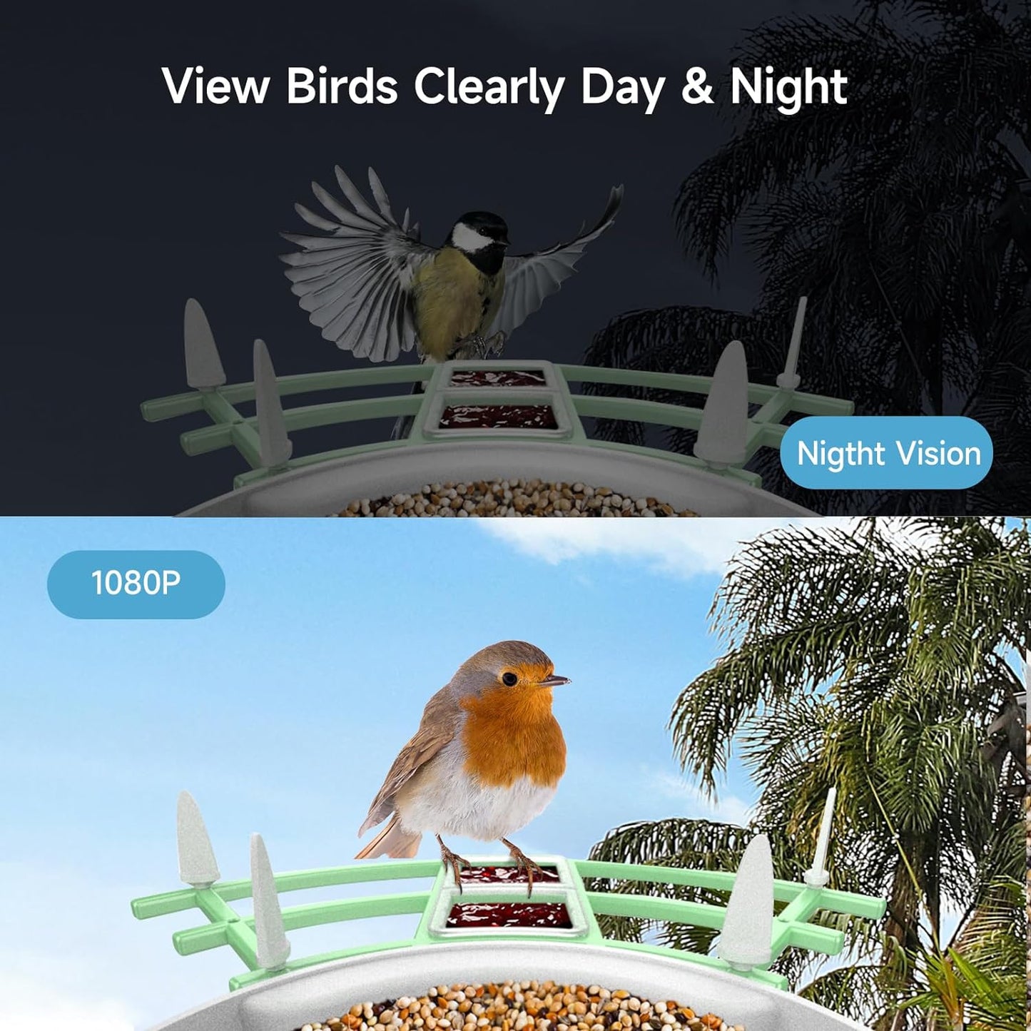 Intelligent Bird Feeder Cam with Night Vision & Motion Detection