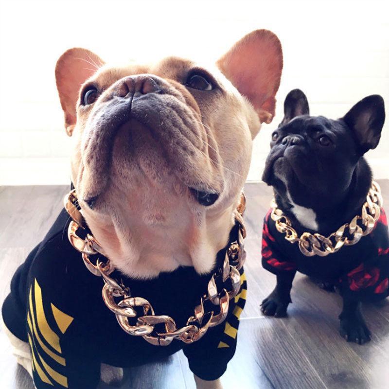 Luxury Pet Gold Plated Chain Dog Collar