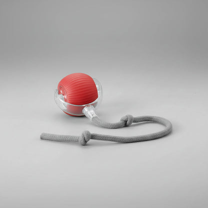 Fun Pet Rolling Ball Toy with Wagging Tail