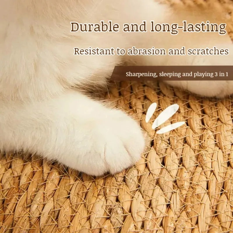 Fesara | KrazeLuxe Matte - Durable Scratch Pad for Cats