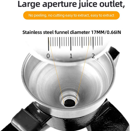 Easy to Use Juicer for More Juice Extraction