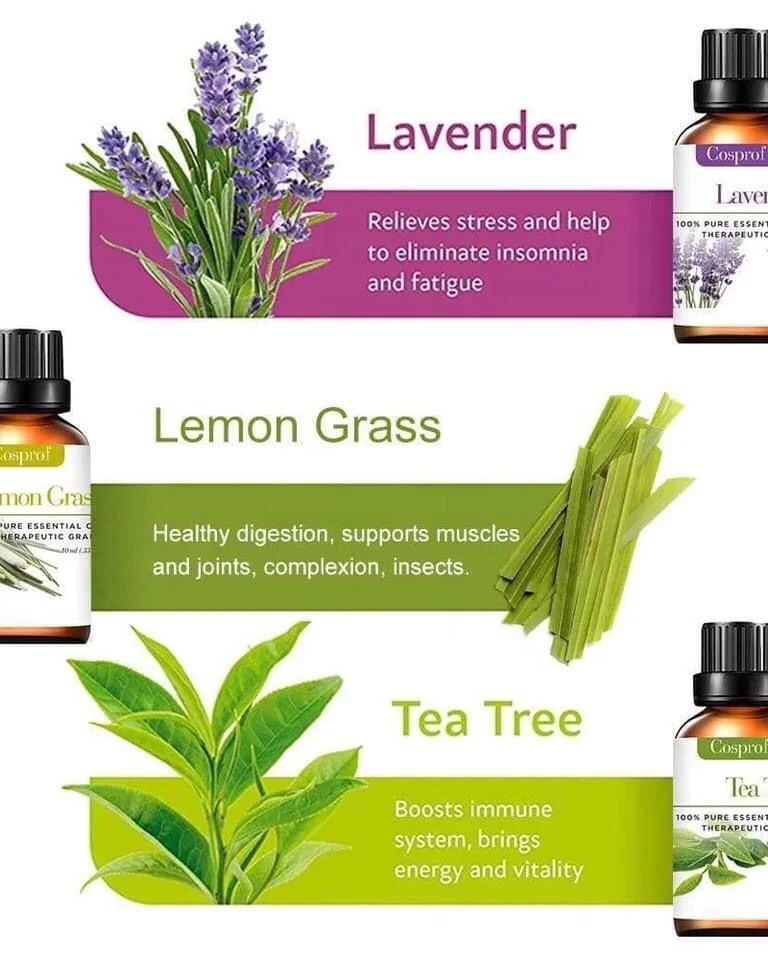 Natural Aromatherapy Essential Oil Starter Kit Set