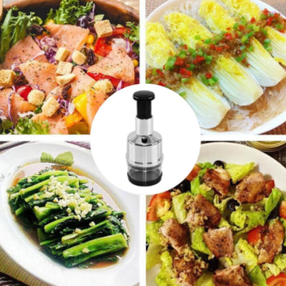 Easy Garlic Stainless Steel Chopper