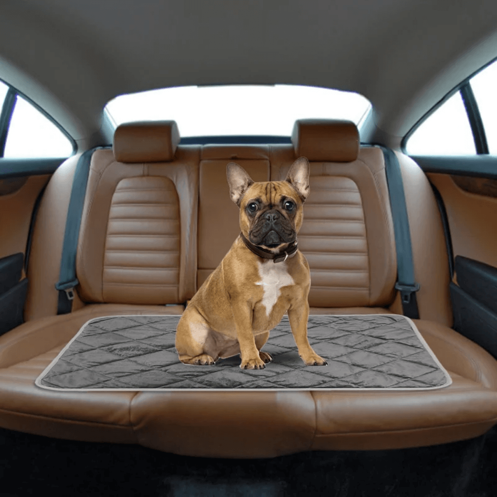 Warm Comfort Pet Heating Mat