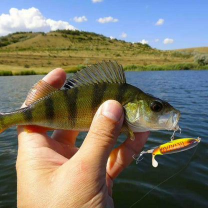 Fesara | Spinning Lure Fishing Bait - Fesara