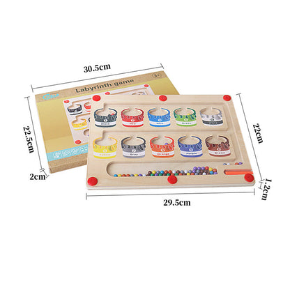 Fun Learning Magnetic Maze Board