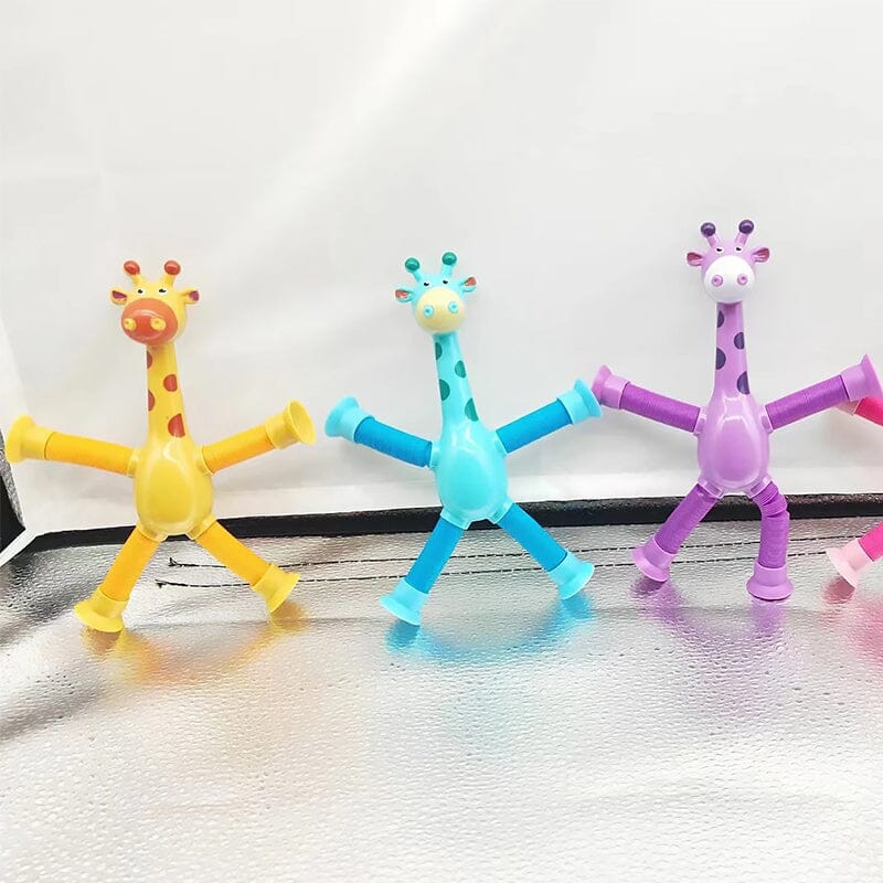 Fun Interactive Pet Toy