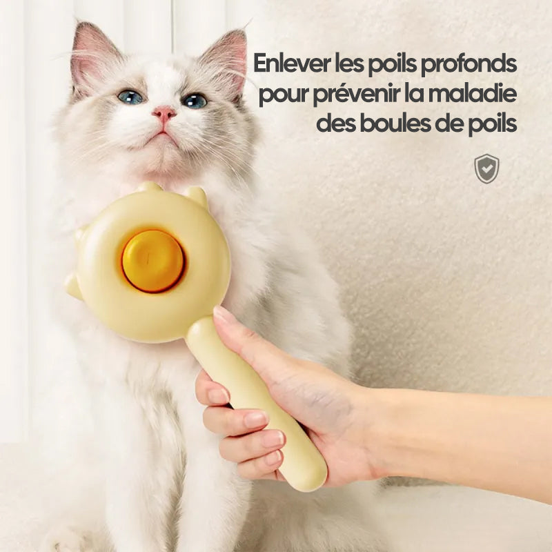 Pet Hair Removal Brush Tool