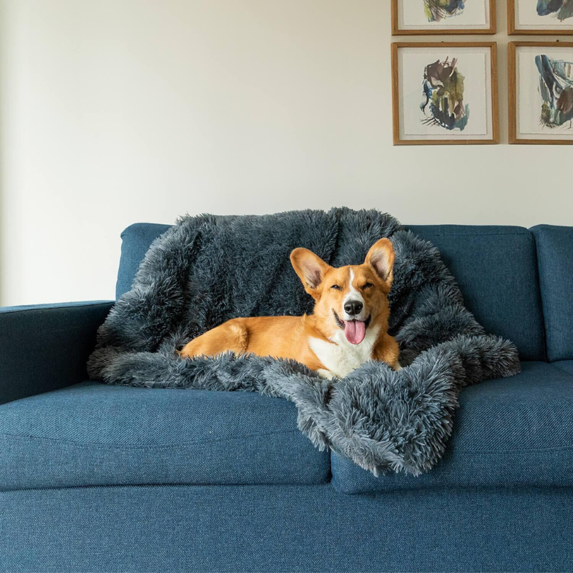 Luxury Calming Dog Blanket – Soft, Animal-Friendly Fabric for Improved Sleep and Comfort, Machine Washable, Multiple Sizes Available-2