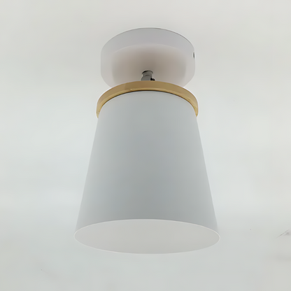 Elegant Glass Pendant Light
