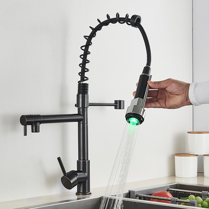 Dual Function Kitchen Sink Faucet