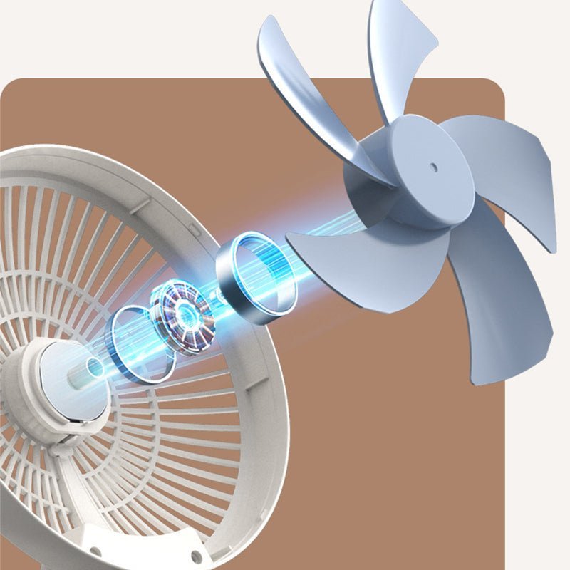 Cool Summer Fesara for Ultimate Relaxation