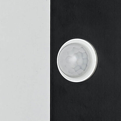 Bright Adjustable Outdoor Motion LED Wall Light