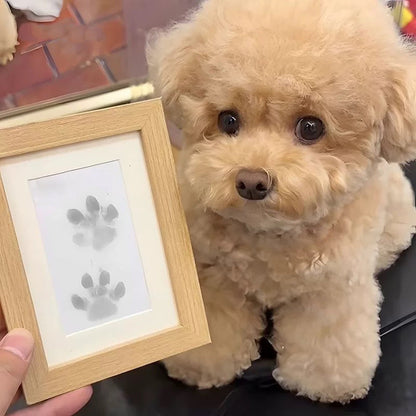 Easy Pet Paw Print Art Kit