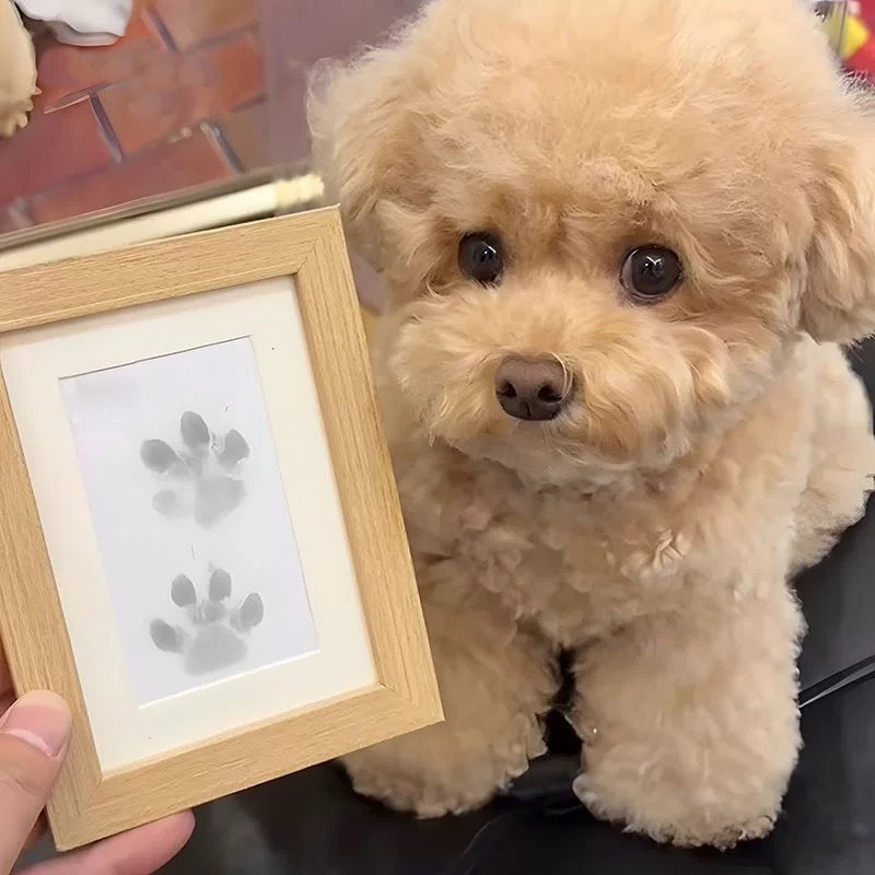 Personalized Pet Paw Photo Frame Kit