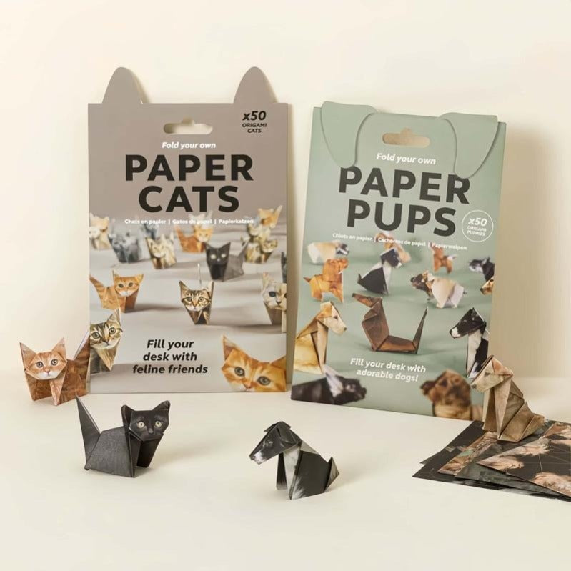 Fun Cat Paper Folding Kit