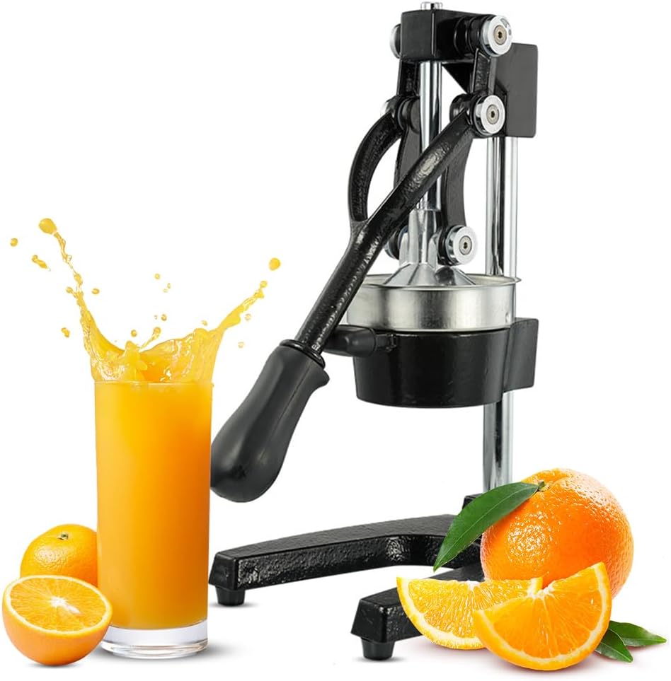 Easy to Use Juicer for More Juice Extraction - Fesara