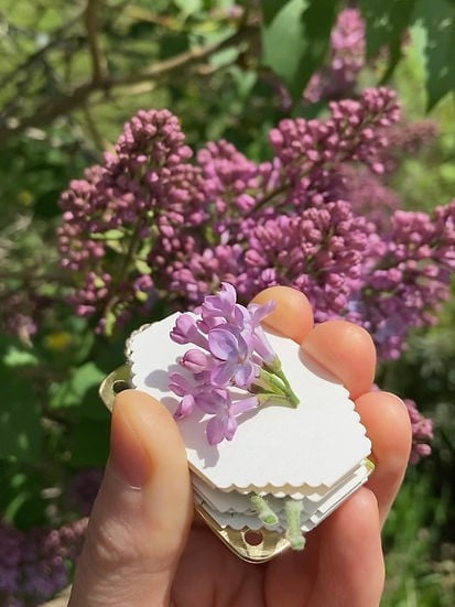 Fresh Flower Preservation Kit