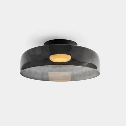 Elegant Clear Glass Pendant Light