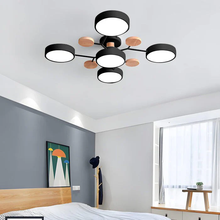 Sleek LED Ceiling Fixture Home Lighting