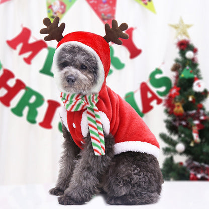 Fun Christmas Pet Outfits