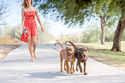 Flexible Dual Dog Leash Line
