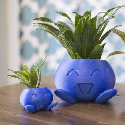 Colorful Indoor Plant Display Pot