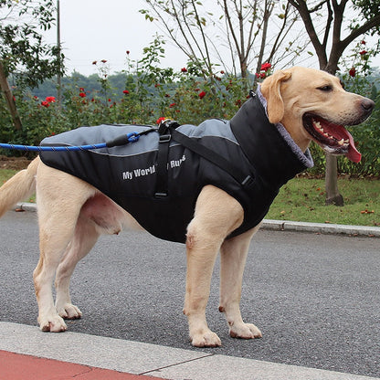 Waterproof Dog Coats for Winter