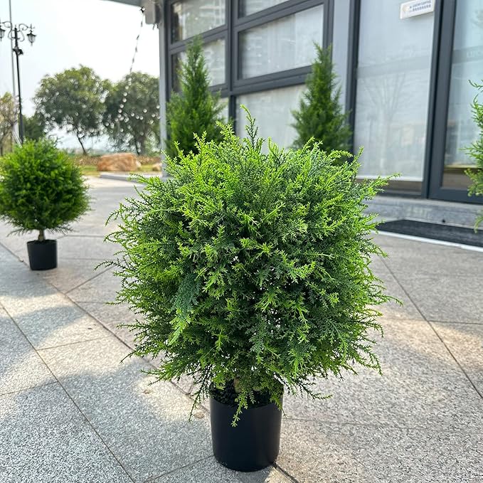 Fresh Cedar Room Spray