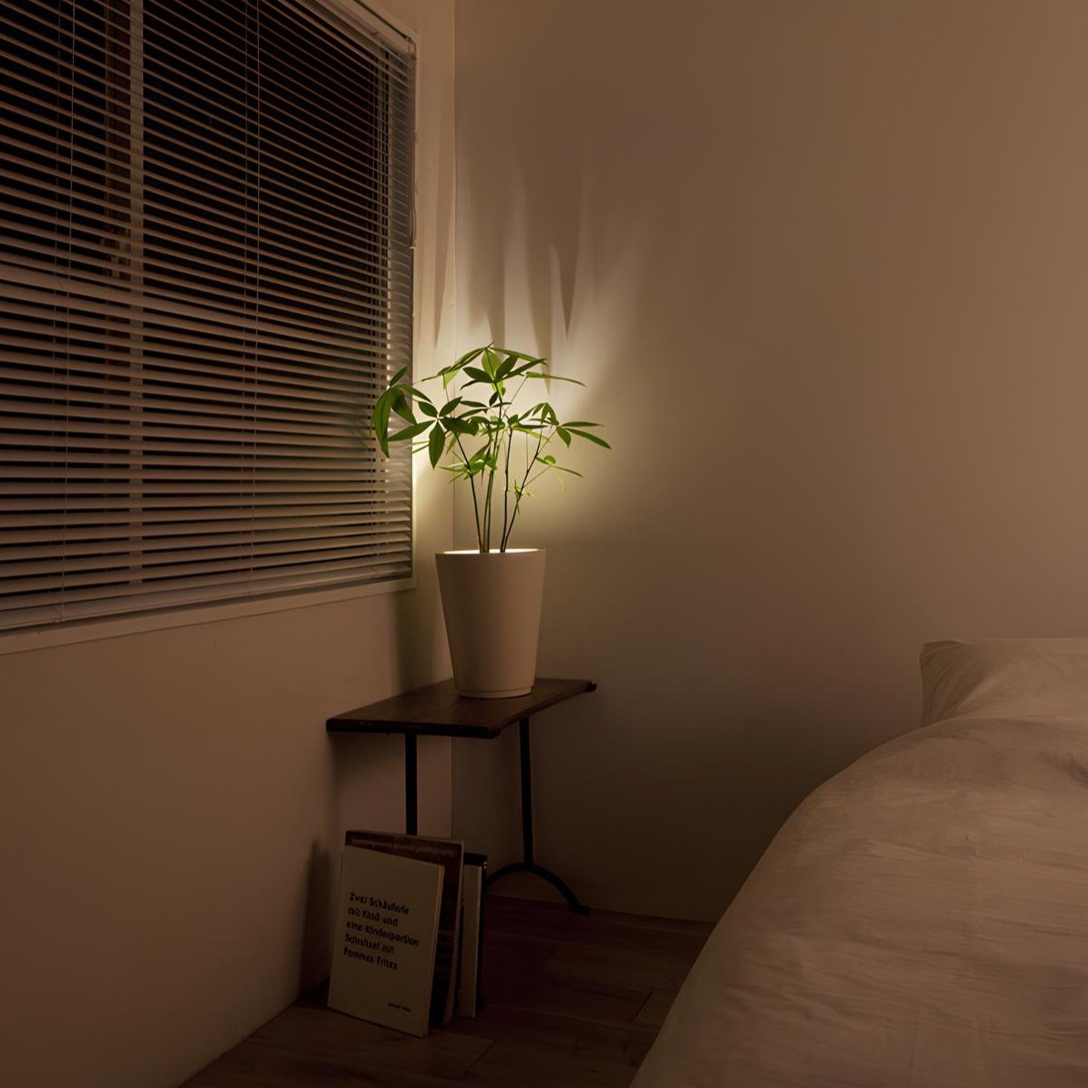 Easy Fit Dimmable LED Wall Light with Remote
