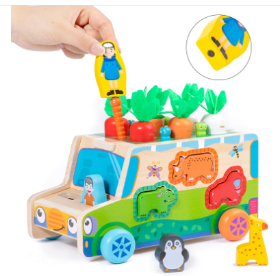 Educational Wooden Play Set for Curious Kids - Fesara