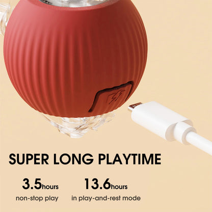 Fun Interactive Pet Ball Toys