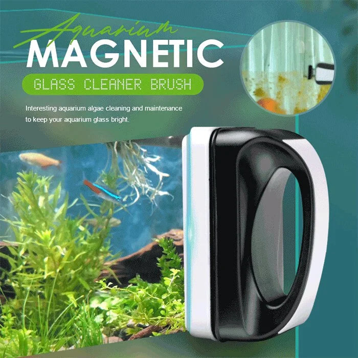 Clear Glass Aquarium Tank