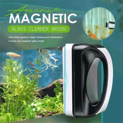 Clear Glass Aquarium Tank