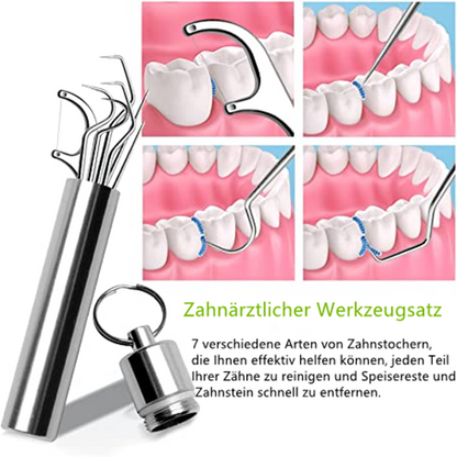 Premium Metal Toothpicks 7 Piece Set
