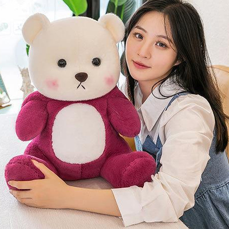 Cute Teddy Plush Toy