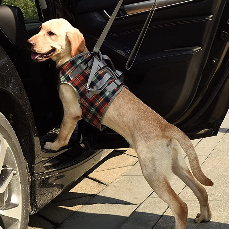 Comfortable Dog Support Harness for Back Legs