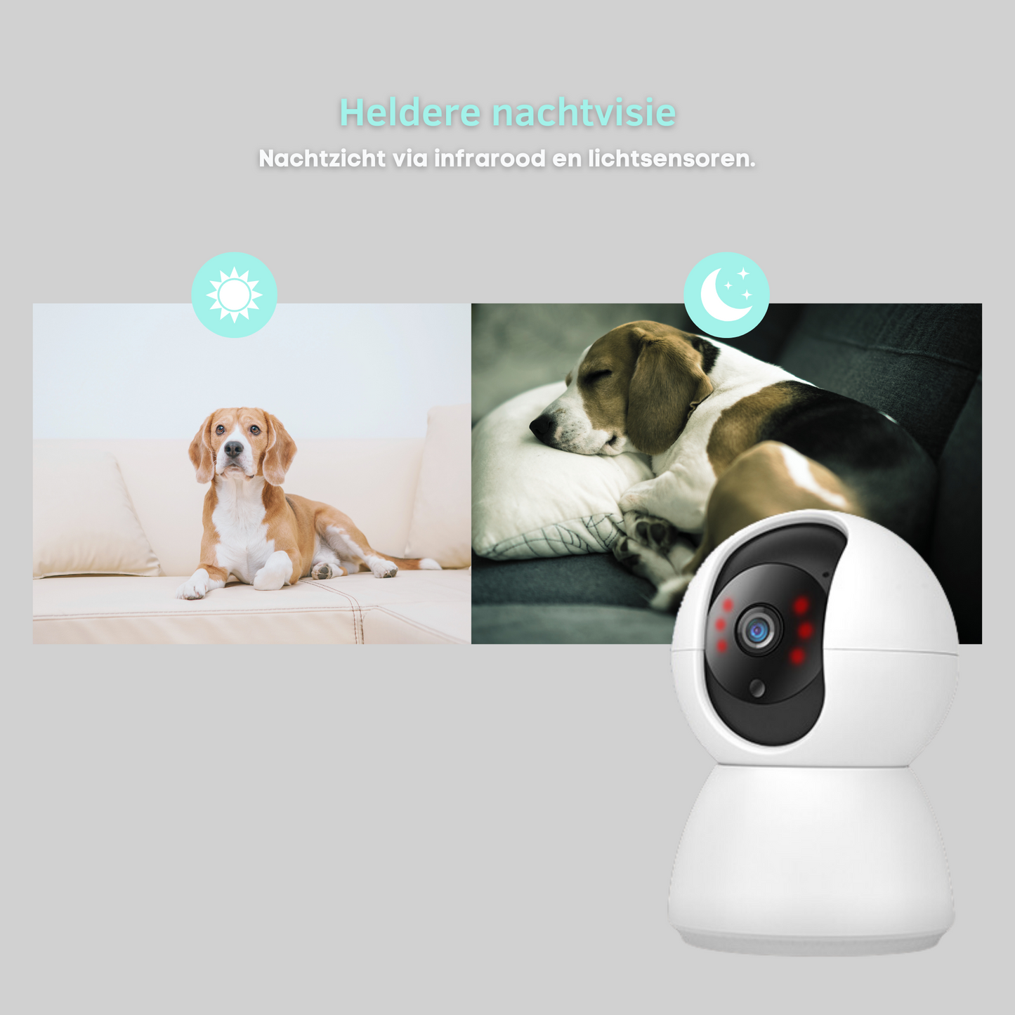 Wi-Fi Pet Monitoring Smart Camera