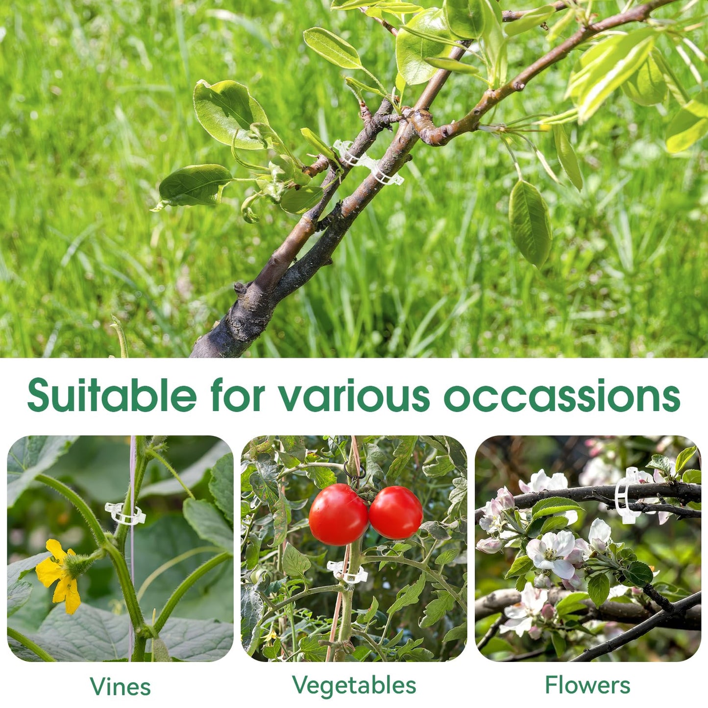 Easy Use Tomato Plant Clips