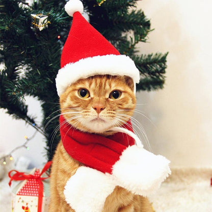 Fun Holiday Pet Costumes