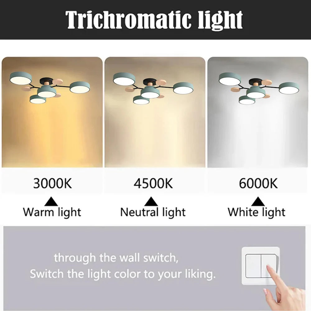 Sleek LED Ceiling Fixture Home Lighting